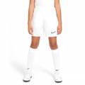 Дитячі шорти Nike Academy 21 CW6109-100, прев. 0