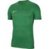 Детская спортивная футболка Nike Park VII BV6741-302