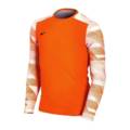 Дитяча футболка воротаря Nike JR Dry Park IV CJ6072-819, прев. 0