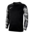 Дитяча футболка воротаря Nike JR Dry Park IV CJ6072-010