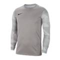 Дитяча футболка воротаря Nike JR Dry Park IV CJ6072-052