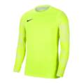 Дитяча футболка воротаря Nike JR Dry Park IV CJ6072-702