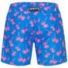 Шорты для купания Henleys HTG00838, прев. 1