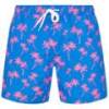 Шорты для купания Henleys HTG00838, прев. 0