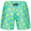 Шорты для купания Henleys HTG00839, прев. 1