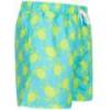 Шорты для купания Henleys HTG00839, прев. 2