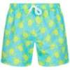 Шорты для купания Henleys HTG00839, прев. 0