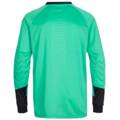 Джемпер воротаря Hummel 04087-6605, прев. 1