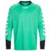Джемпер воротаря Hummel 04087-6605, прев. 0