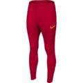 Спортивные штаны Nike Academy 21 CW6122-687, прев. 0