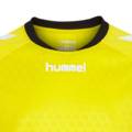 Джемпер воротаря Hummel 04087-5269, прев. 2