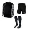 Детская футбольная форма вратаря Nike JR Dry Park IV CJ6072-010+BV6865-010, прев. 0