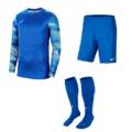 Детская футбольная форма вратаря Nike JR Dry Park IV CJ6072-463+BV6865-463, прев. 0
