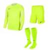 Детская футбольная форма вратаря Nike JR Dry Park IV CJ6072-702+BV6865-702, прев. 0