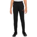 Брюки детские Nike Academy 21 CW6124-016, прев. 0
