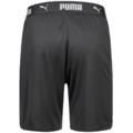 Шорты Puma 656646-02, прев. 2