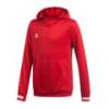 Детская спортивная худи Adidas Team 19 Hoody DX7341, прев. 0