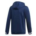 Детская спортивная худи Adidas Team 19 Hoody DY8821, прев. 1