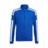 Детский спортивный джемпер Adidas Squadra 21 Training GP6457, прев. 0