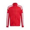 Детский спортивный джемпер Adidas Squadra 21 Training GP6458, прев. 0