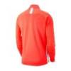 Детский спортивный джемпер Nike Academy 19 Drill Top AJ9273-671, прев. 1