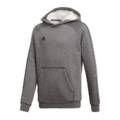 Детский спортивный худи Adidas Core 18 CV3429, прев. 0