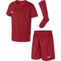 Ігровий комплект дитячий (футболка, шорти, гетри) NIKE CD2244-657