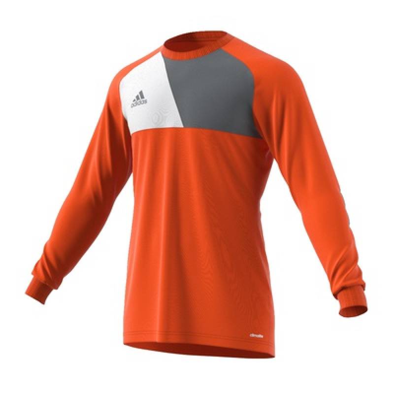Вратарский реглан Adidas Assita 17 GK AZ5398-A
, рис. 0