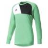 Вратарский реглан Adidas Assita 17 GK AZ5400-A
, прев. 0