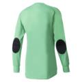 Воротарський реглан Adidas Assita 17 GK AZ5400-A, прев. 1