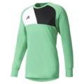 Воротарський реглан Adidas Assita 17 GK AZ5400-A, прев. 0