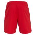  Шорты Macron Mesa Hero shorts 5223-02, прев. 5