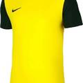 Футболка подростковая Nike Y NK DF TIEMPO PREM II JSY SS желтая DH8389-719, прев. 1