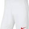 Шорты мужские белые Nike Park III M BV6855-103
