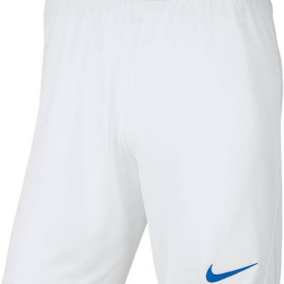 Шорти чоловічі білі Nike Park III M BV6855-104