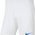 Шорти чоловічі білі Nike Park III M BV6855-104