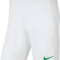 Шорти чоловічі білі Nike Park III M BV6855-102