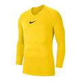 Термобелье футболка Nike M NK DF PARK 1STLYR JSY LS желтая AV2609-719, прев. 0