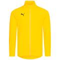 Детский спортивны джемпер PUMA LIGA Sideline 655947-07, прев. 0