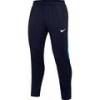 Штани спортивні Nike DRI-Fit ACADEMY PRO DH9240-451, прев. 0