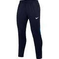 Штаны спортивные Nike DRI-Fit ACADEMY PRO DH9240-451, прев. 0