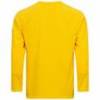Воротарська футболка PUMA Speed Men з довгими рукавами 701272-27, прев. 1