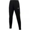 Жіночі тренувальні штани NIKE ACADEMY PRO DH9273-010, прев. 0