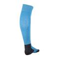 Гетры футбольные Puma TEAM LIGA SOCKS CORE голубые 703441-18, прев. 1