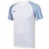 Футболка Nike Dri-FIT Academy DH8031-102, прев. 0