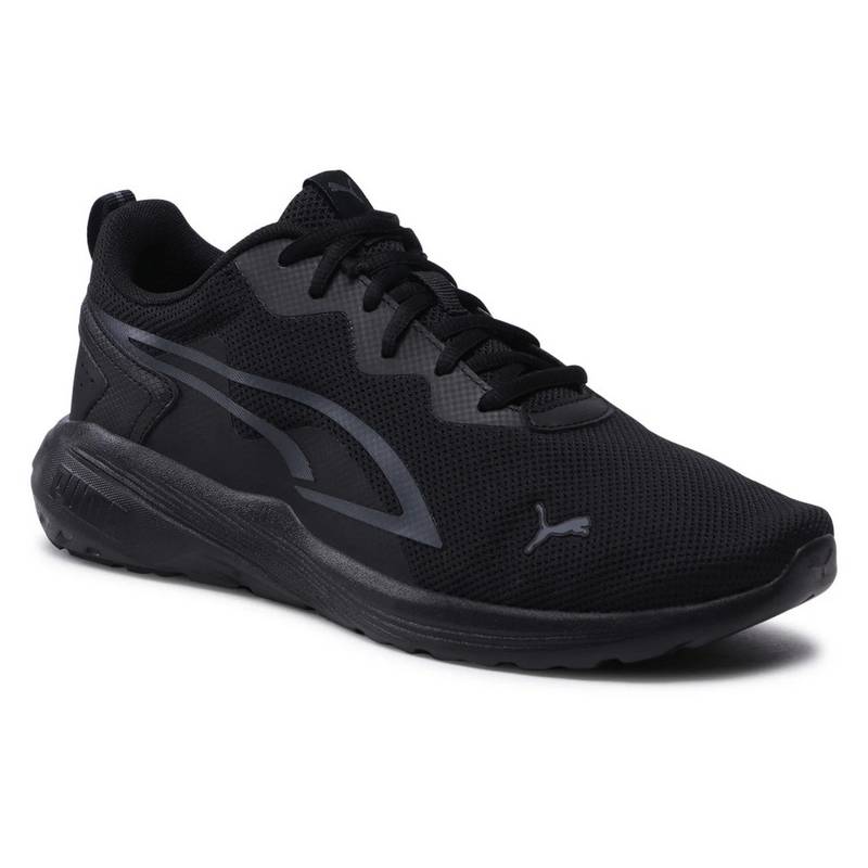 Кроссовки PUMA ALL DAY ACTIVE 386269-01, рис. 1