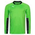 Реглан вратарский Puma зеленый 701918-43