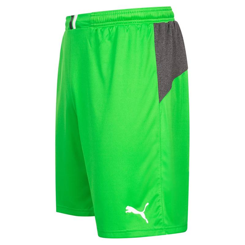 Мужские вратарские шорты PUMA King 701701-43, рис. 2