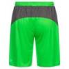 Мужские вратарские шорты PUMA King 701701-43, прев. 1