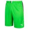 Мужские вратарские шорты PUMA King 701701-43, прев. 0